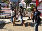 NPC高等学院