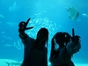 奈良甘樫高等学院（通信制慶風高校奈良サポート校）